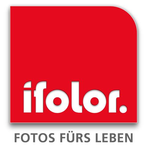 Ifolor setzt auf ERP-Lösung von SPH