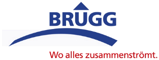 Logo Stadt Brugg